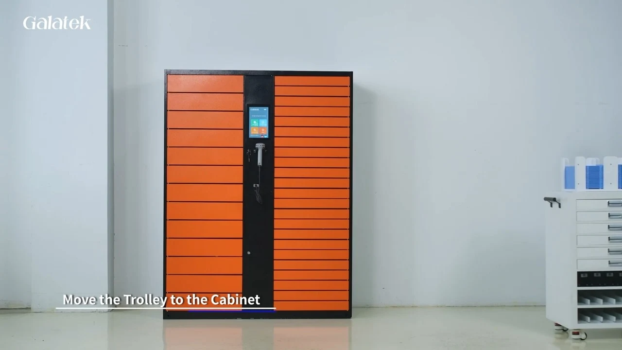 Galatek system archive cabinet.